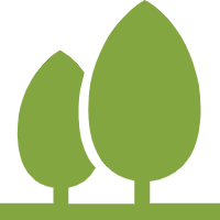 艺术塑形 | 让每株植物都生长为生态雕塑