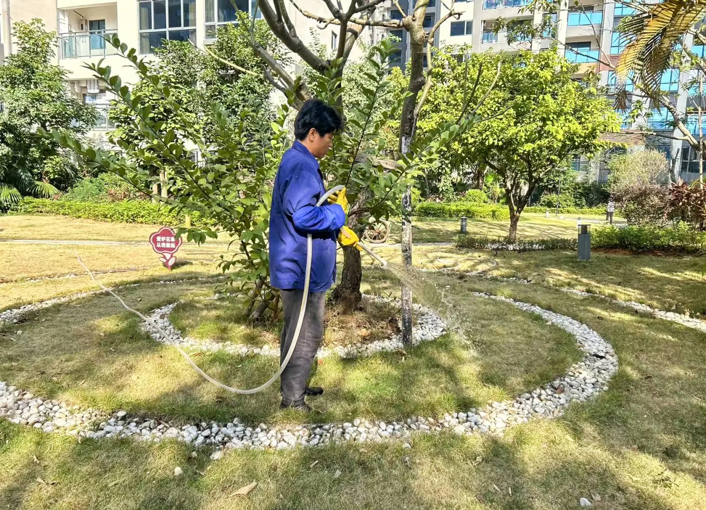 绿化养护