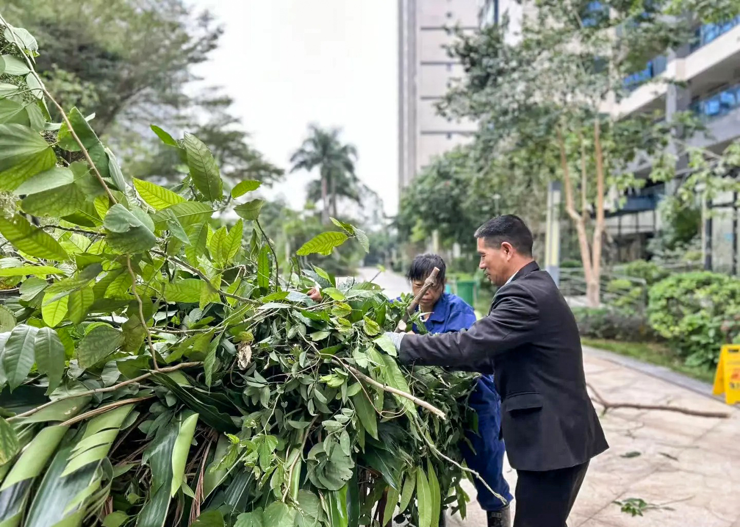 绿化养护