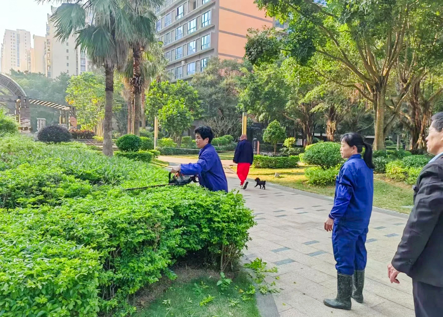 绿化养护
