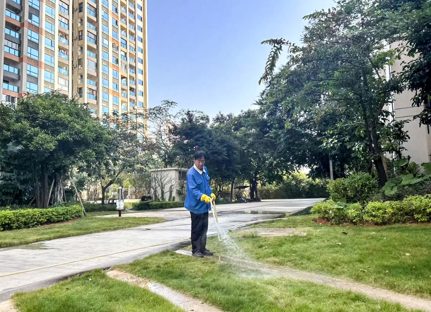 绿化养护