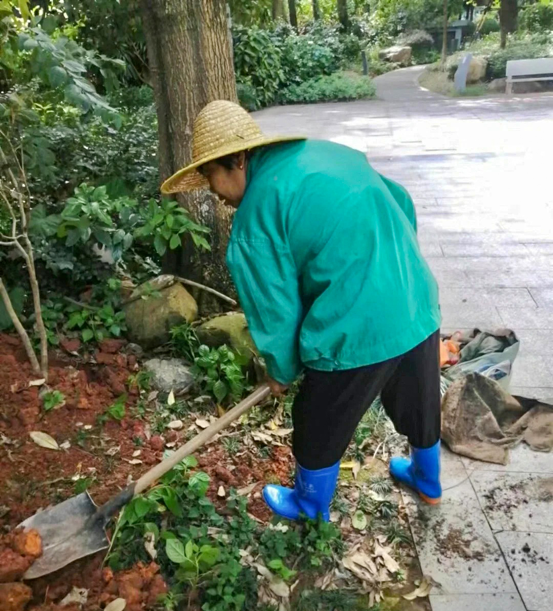 绿化养护