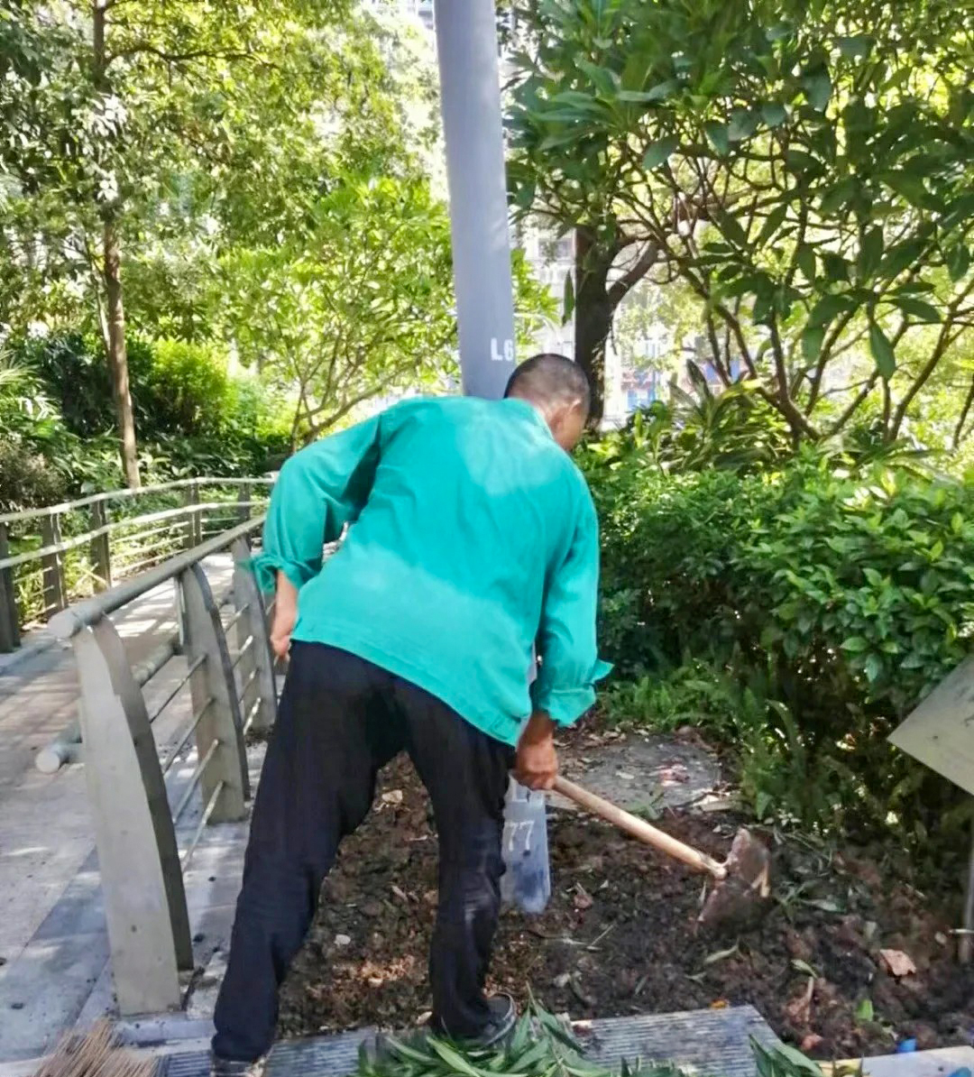 绿化养护