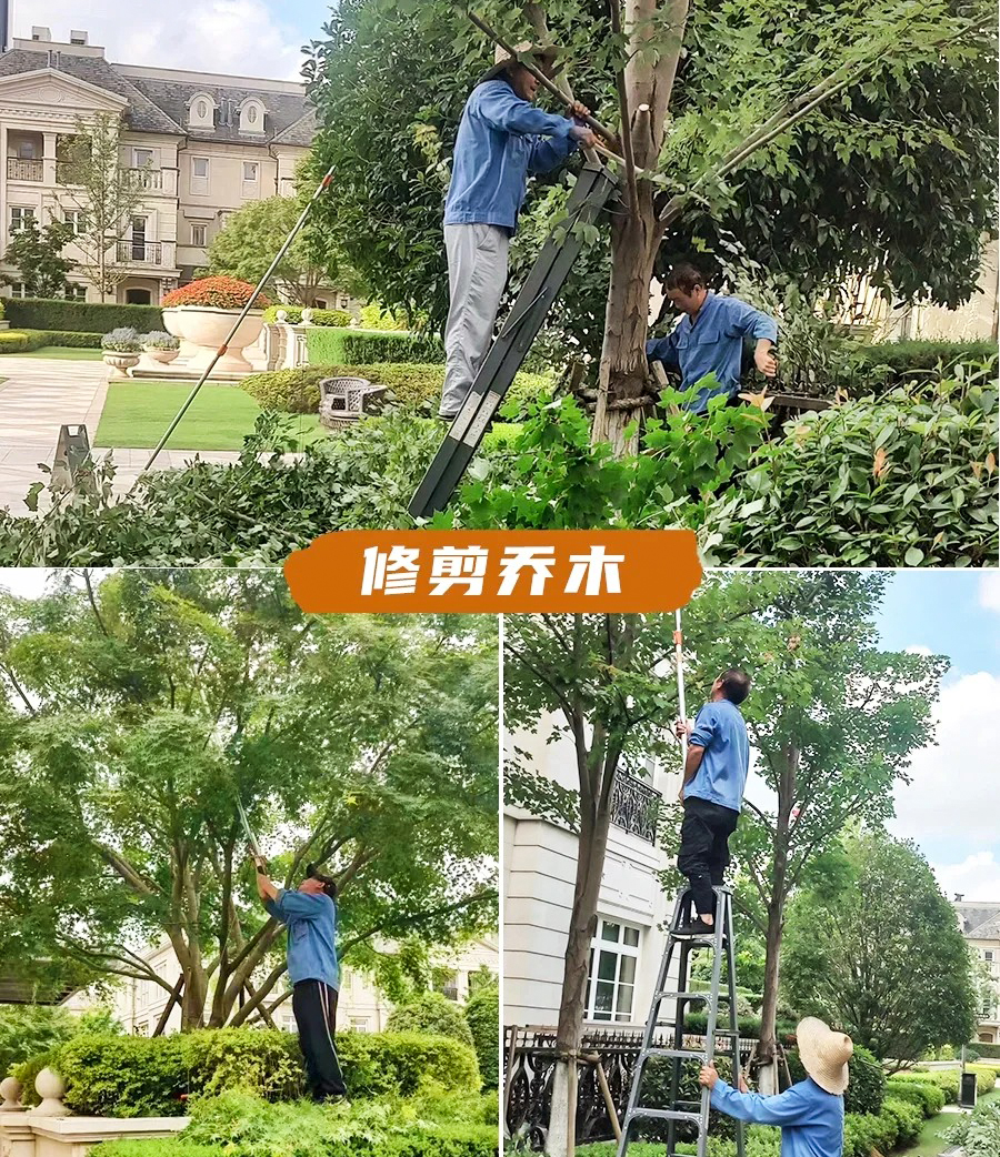 绿化养护