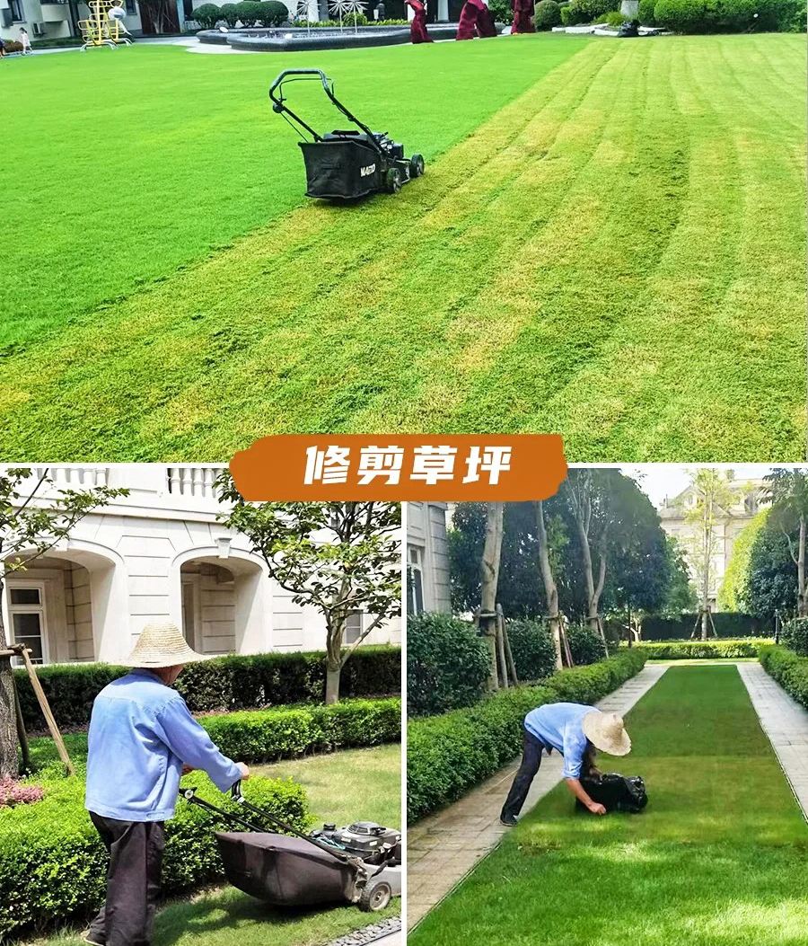 绿化养护