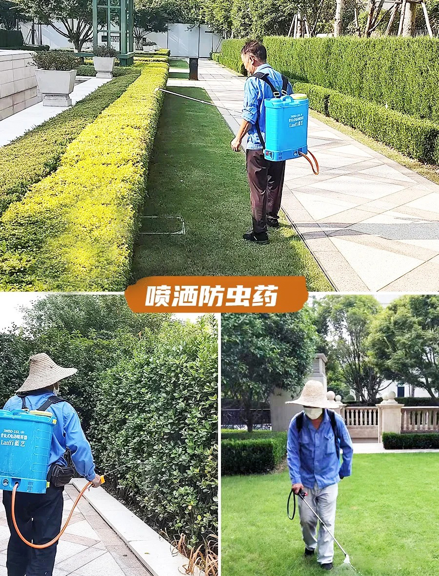 绿化养护
