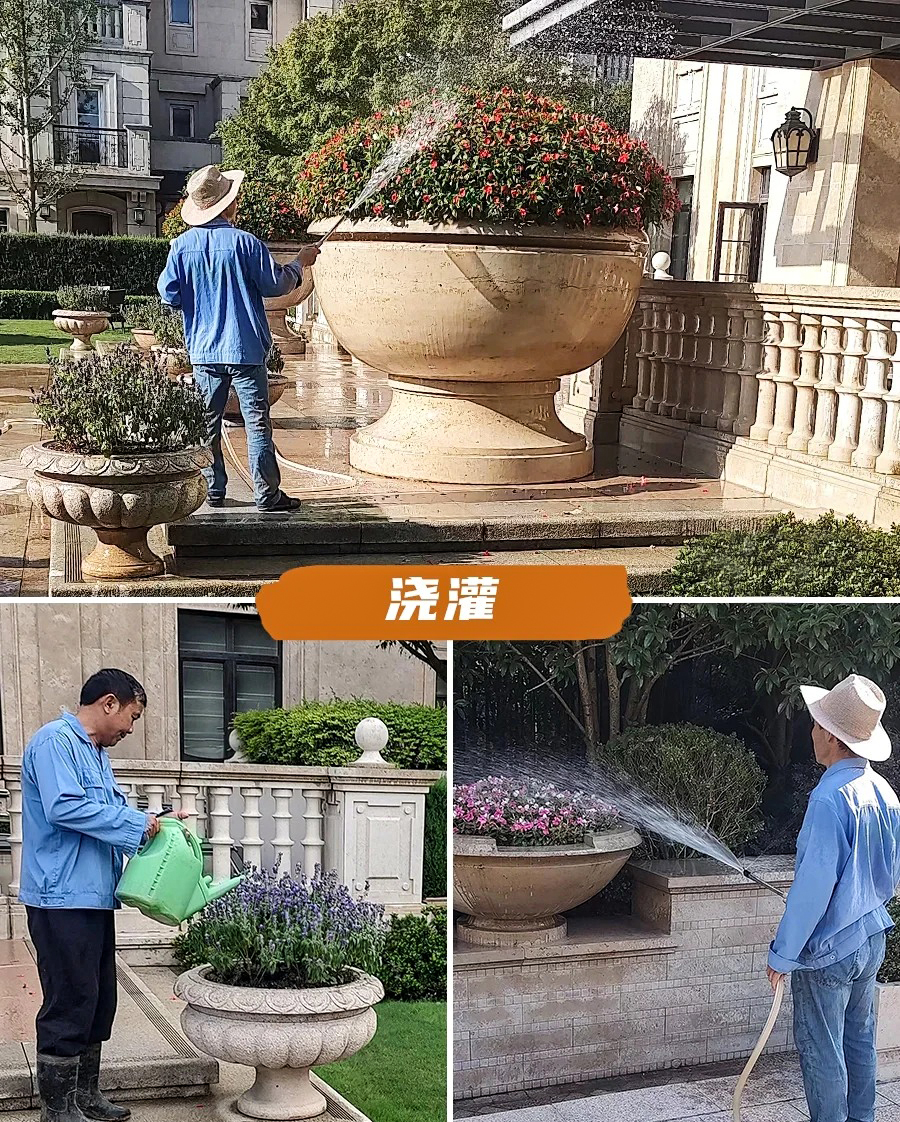 绿化养护