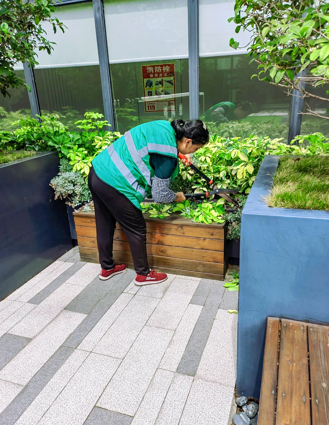 绿化养护