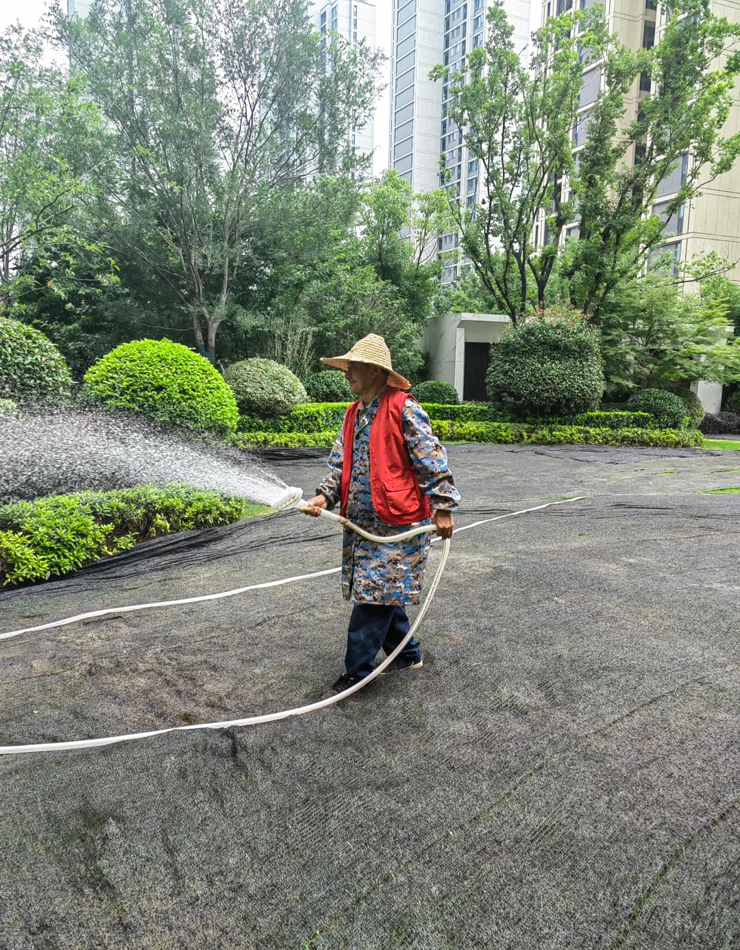 绿化养护