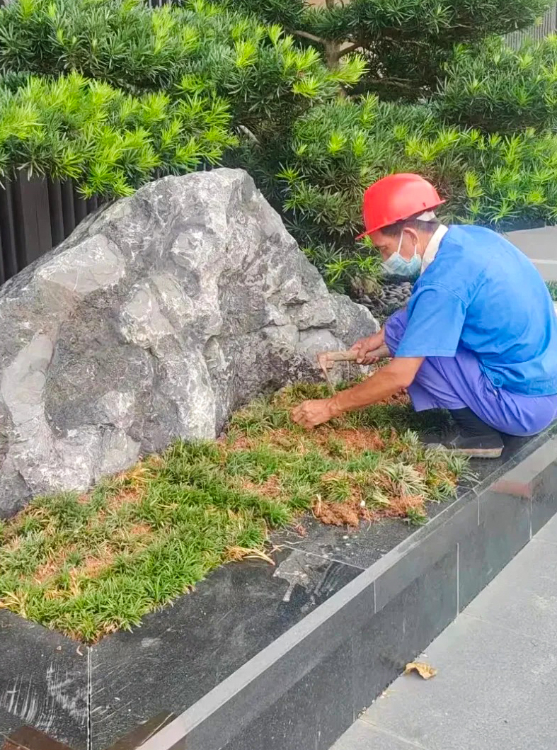 绿化养护