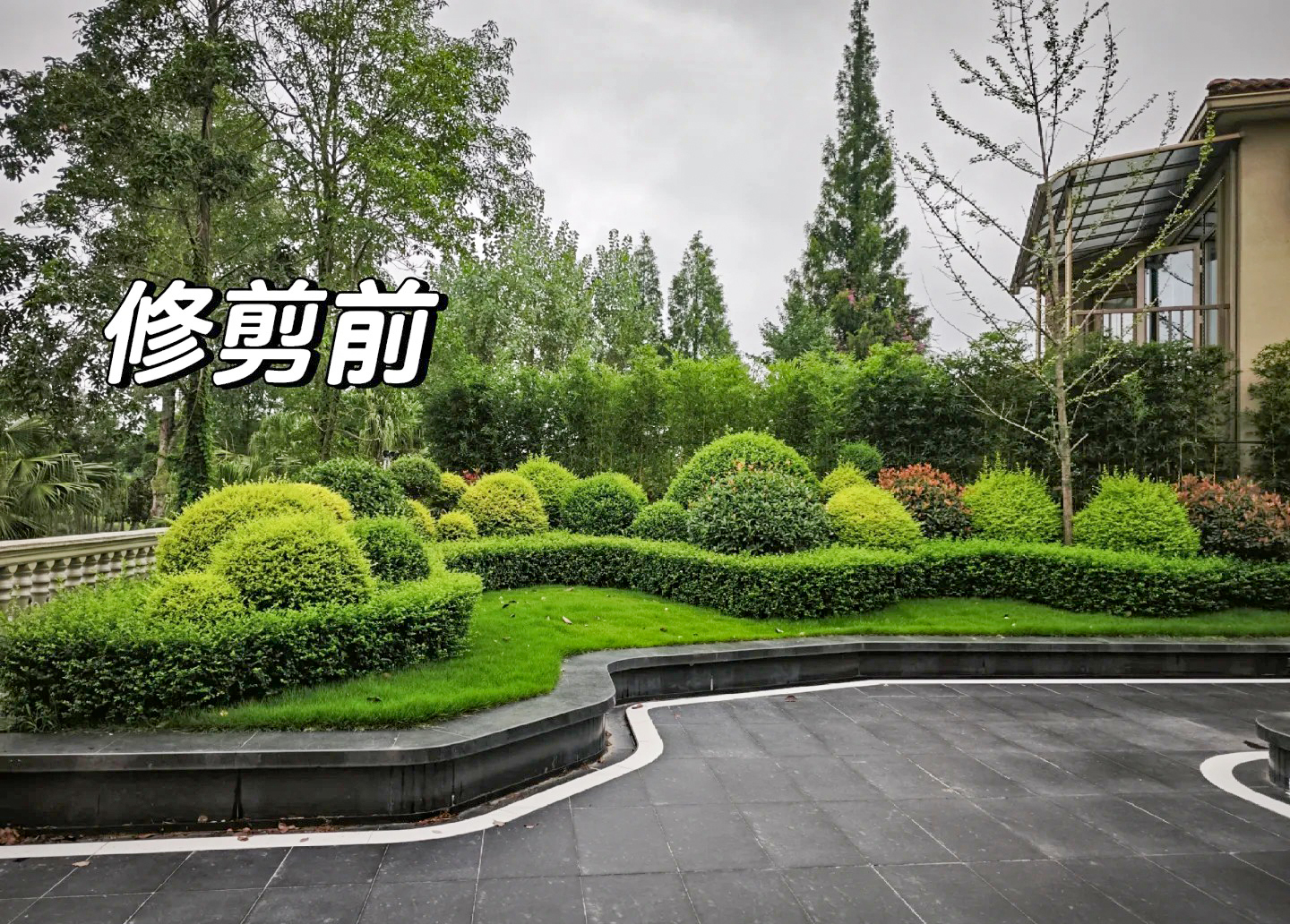 绿化养护
