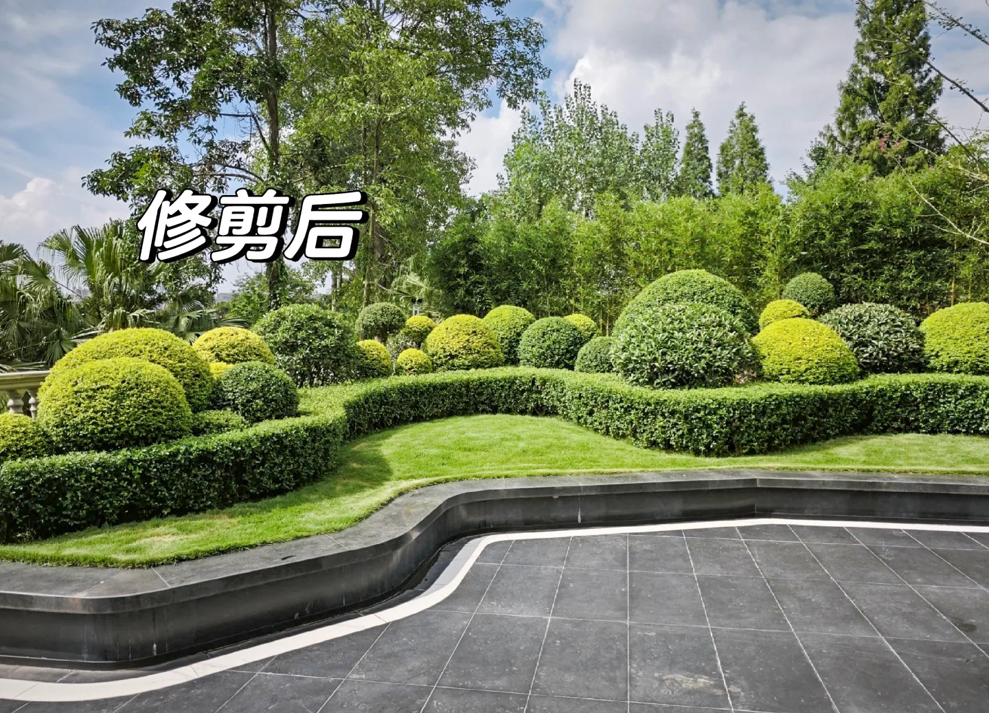 绿化养护