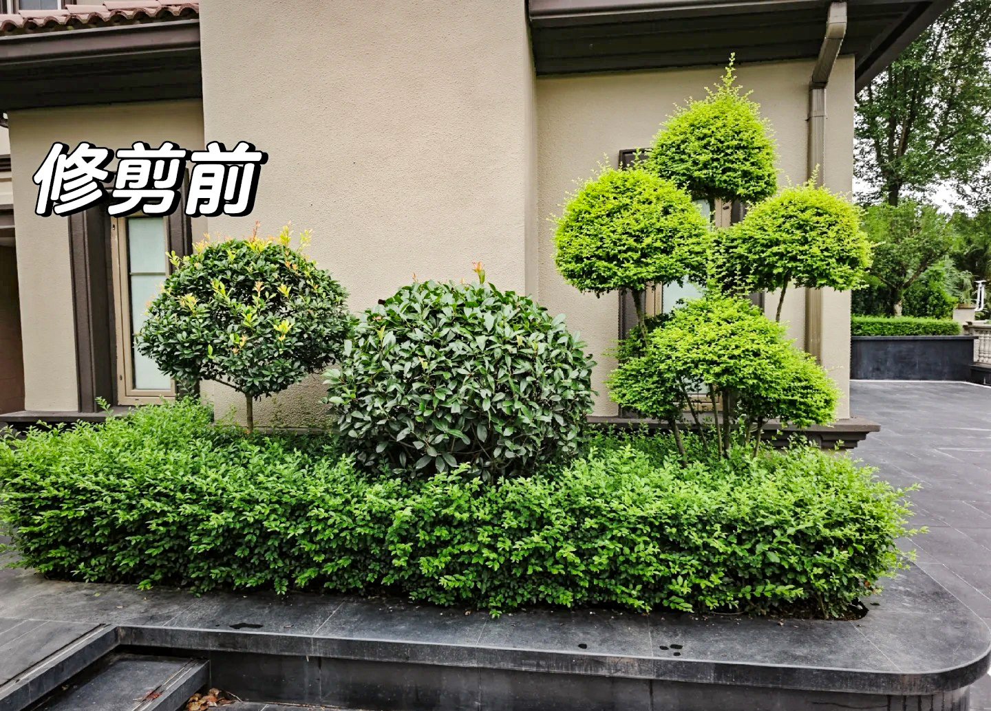 绿化养护